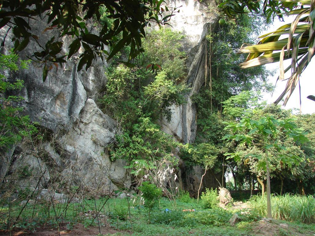 Dragon Boat Rock Lejlighed Ninh Binh Eksteriør billede